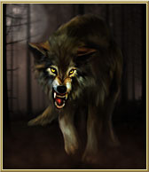 Wolf 